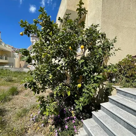 Apartmán Gold Olive *
