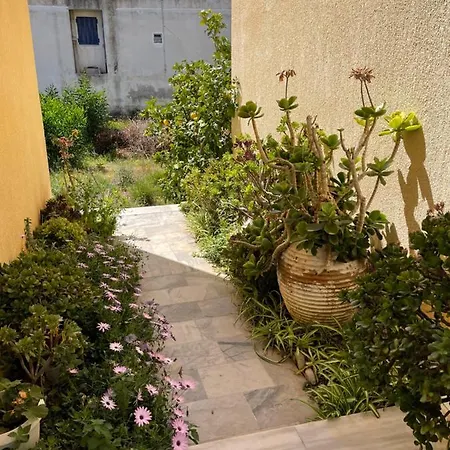 Gold Olive Apartmán